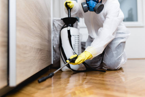 Best Rat Extermination Near Me  in Dunlap, IL
