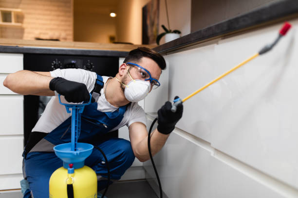 Best Insect Control  in Dunlap, IL