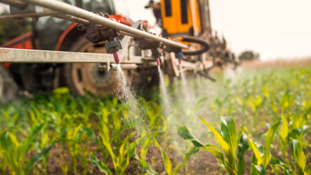Best Best Pest Control Companies  in Dunlap, IL
